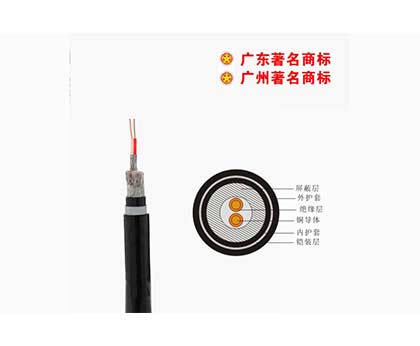 DJYPVP22-300/500V控制電纜 DJYPVP22-300/500V控制電纜